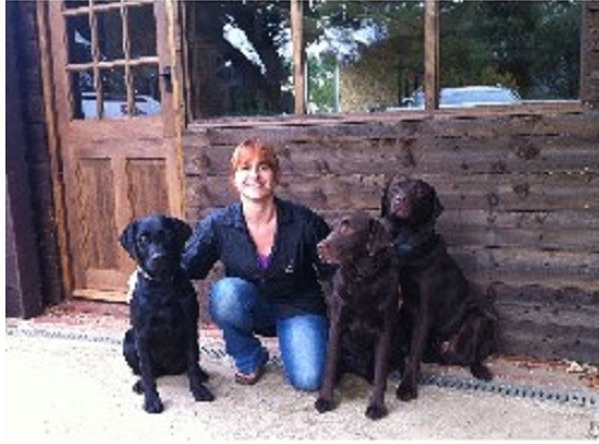 Doggy Styles Grooming