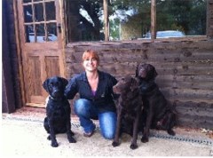 Doggy Styles Grooming Northampton Northamptonshire Logo 