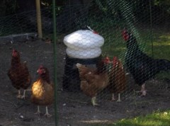 gateway to the broads Beccles Suffolk Logo 