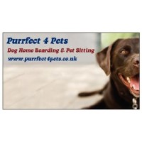 Purrfect 4 Pets Dog Home Boarding and Pet Sitting North Shields Tyne and Wear Logo 