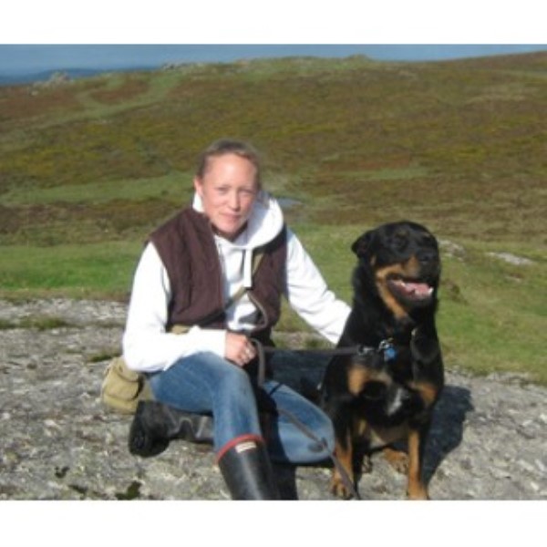 Newton Dog Walking Reviews Newton Dog Walking Reviews