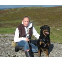 Kate's Canine Services Kingsteignton Devon Logo 