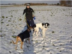 Board And Walk Pet Services Chelmsford Essex Logo 