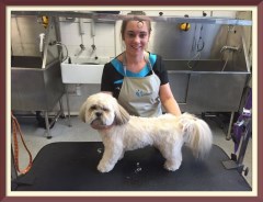 Barnsley Mobile Dog Grooming Barnsley South Yorkshire Logo 