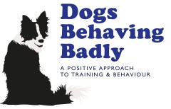 Dogs Behaving Badly Broadbridge Heath, Horsham West Sussex Logo 