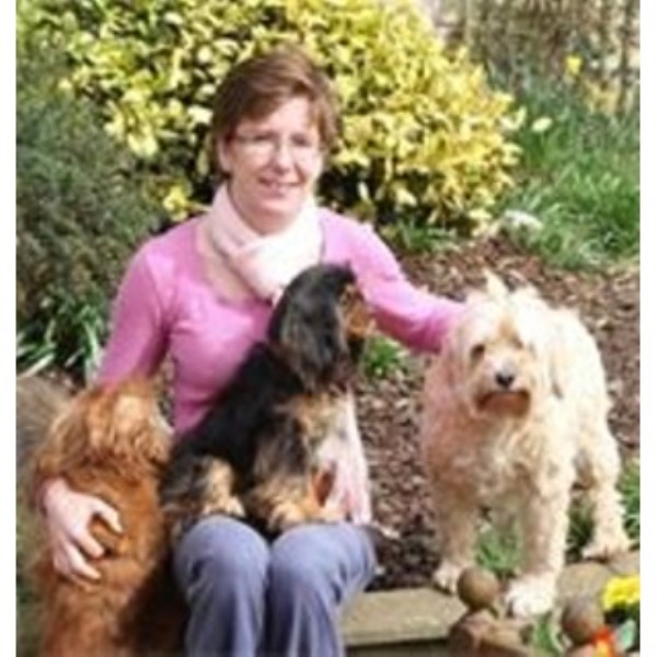 Waggy Tailz Home Boarding