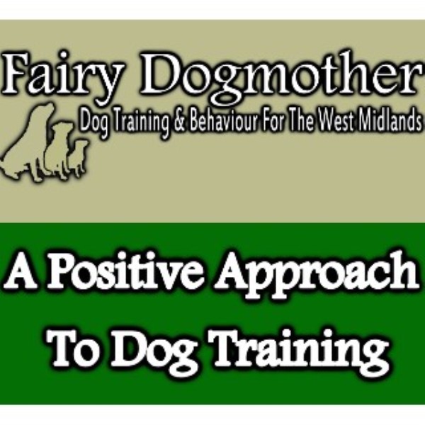 Fairy Dogmother Dog Training