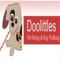 Doolittles Pet Sitting & Dog Walking Halesowen West Midlands Logo 