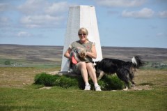 Noahs Ark Pet Care Services Bradford West Yorkshire Logo 