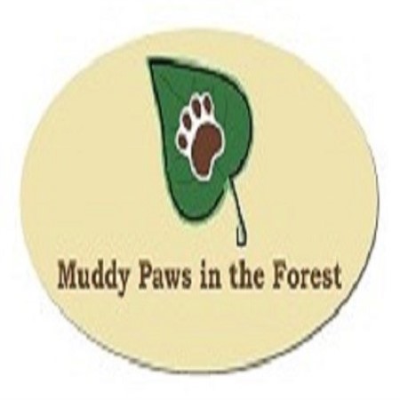 Muddy Paws In The Forest