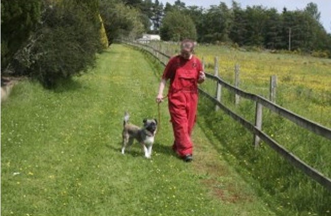 Aquithie Boarding Kennels & Cattery