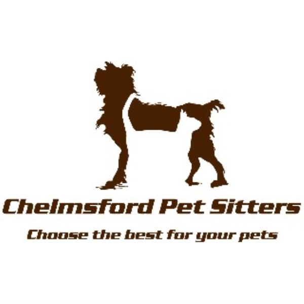Chelmsford Pet Sitters