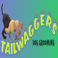 Tailwaggers Green Street Green, Orpington Greater London Logo 