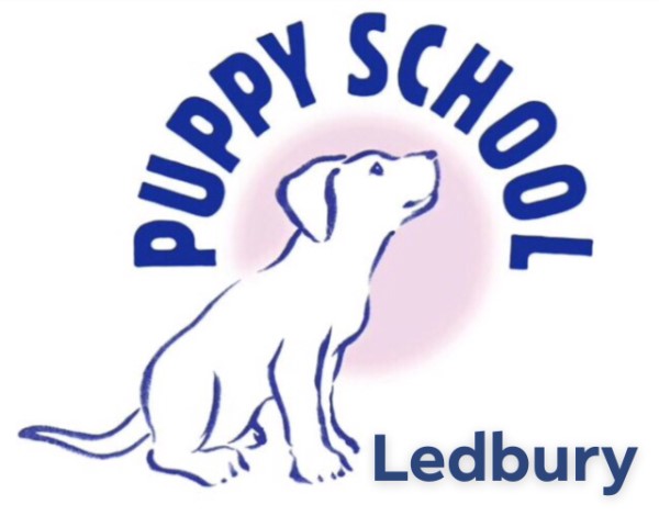 Puppy School Ledbury