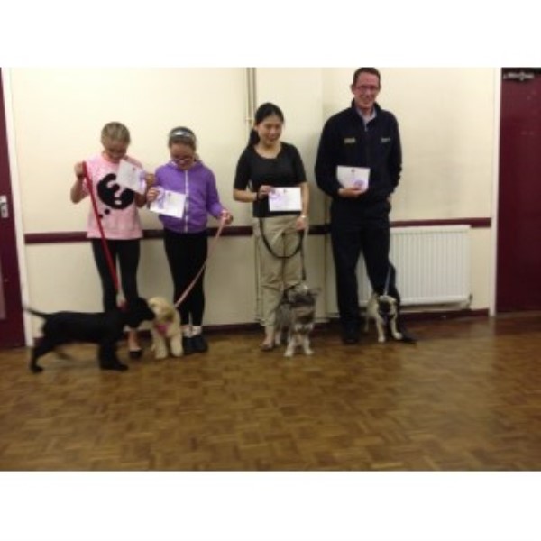 Paws in Harmony Ashford