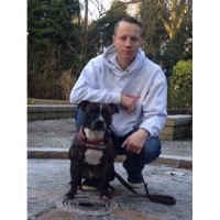 PAWsitive Dogs Behavioral Training Catterick, Richmond North Yorkshire Logo 