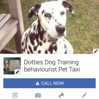 DOTTIES DOG TRAINING AND BEHAVIOURIST.  PET TAXI Llandelio Carmarthenshire Logo 