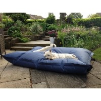 The Dog Snug Macclesfield Cheshire Logo 