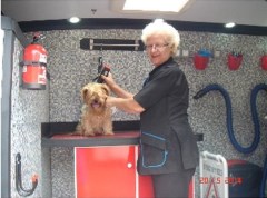 Dial A Dog Wash Luton Bedfordshire Logo 