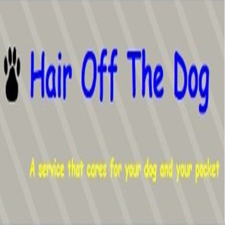 Hair Off The Dog