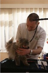 Elegant Paws Two Claws Norwich Norfolk Logo 