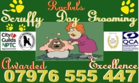 Scruffys dog grooming centre Langport