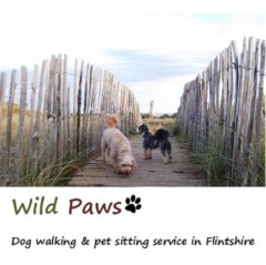 Wild Paws Flint Mountain Flintshire Logo 