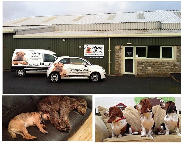 Dog Grooming And Pet Sitting