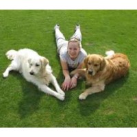 Top Dog training School & Home Boarding Dartford Kent Logo 