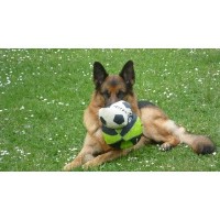 Away Walkies Edinburgh Edinburgh Edinburgh Logo 