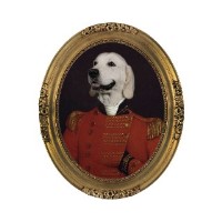 Hound Hall Market Drayton Shropshire Logo 