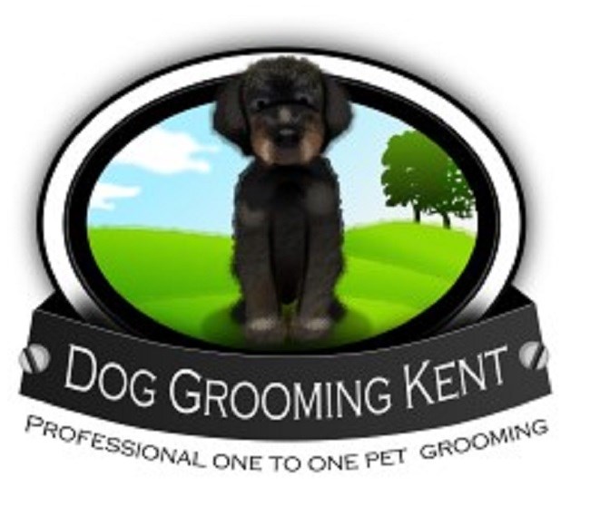Dog Grooming Kent