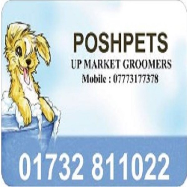 Poshpets