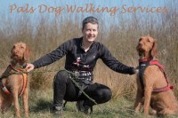 Pals Dog Walking Services Jacksdale Nottinghamshire Logo 
