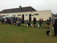 Woodcote Pet Services Reading Berkshire Logo 