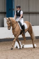 Karen's Equine & Pet Services Ashby de la Zouch Leicestershire Logo 