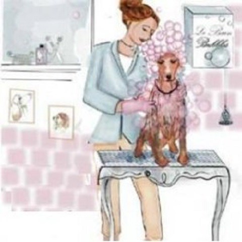 Short Bark And Sides Dog Groomers