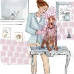 Short Bark And Sides Dog Groomers Wardley, Swinton Lancashire Logo 