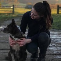 Unleashing Possibilities Dog Training scarborough North Yorkshire Logo 