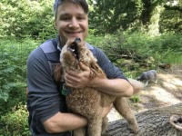 Chris May Dog Training Cheltenham Gloucestershire Logo 