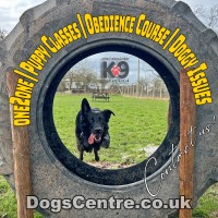 K9 Dogs Centre in Carlisle Carlisle Cumbria Logo 