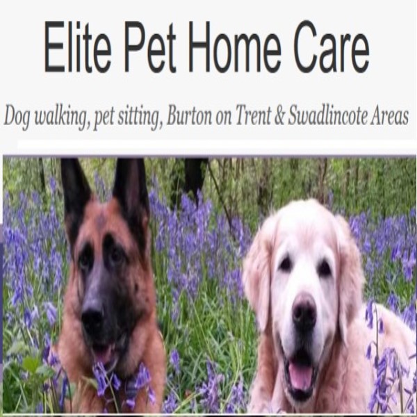 Elite Pet Care - Dog Walking & Sitting