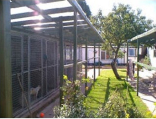 Roxton Kennels & Cattery