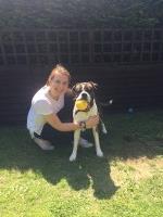 Moon Pet Care Chesterfield Derbyshire Logo 