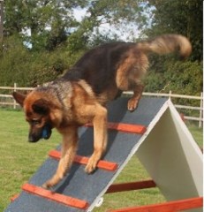 W200 Dogs Wyham, Louth Lincolnshire Logo 