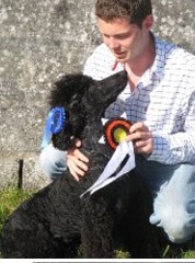 The Dog Groomer Tumble, Llanelli Carmarthenshire Logo 