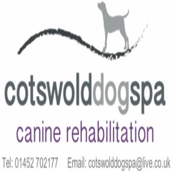 Cotswold Dog Spa Gloucester, Gloucestershire GL19 3BE