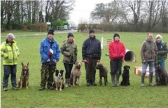 Ks Dog Training Sittingbourne Kent Logo 