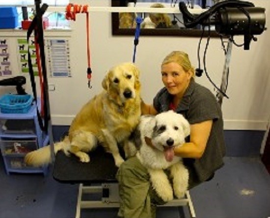 All Breeds Dog Grooming