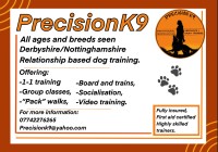Precisionk9 Wirksworth Derbyshire Logo 